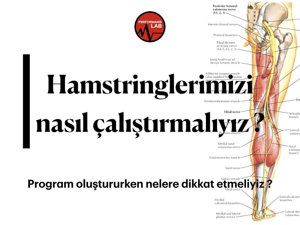 Hamstringlerimizi nasıl çalıştırmalıyız ?