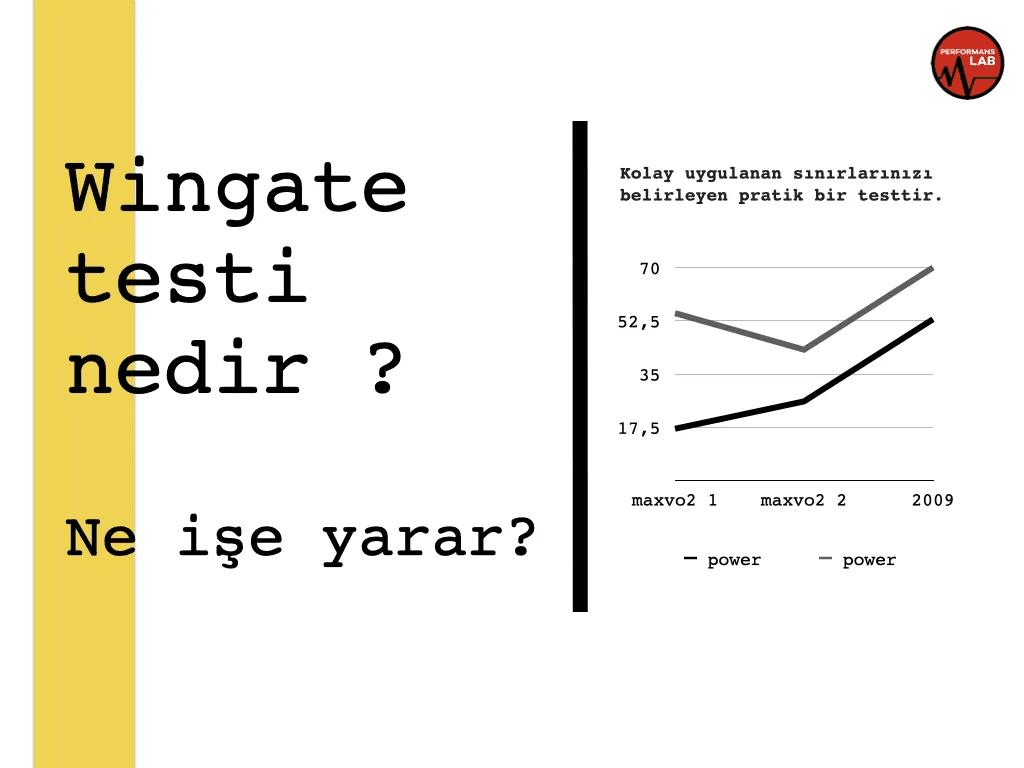 Wintage Testi