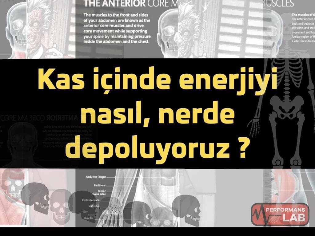 Kas içinde enerjiyi nasıl, nerede depoluyoruz ?