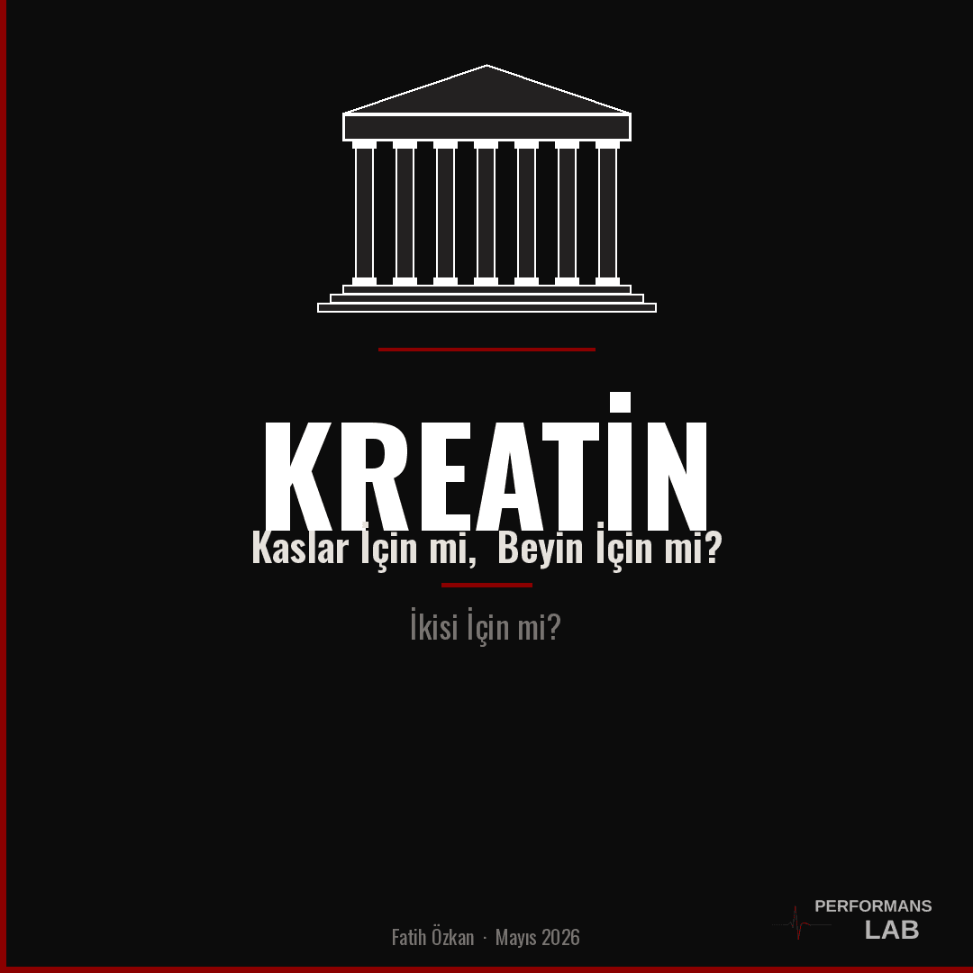 Kreatin Nedir? Kas ve Beyin Faydaları. Bilim Ne Diyor?