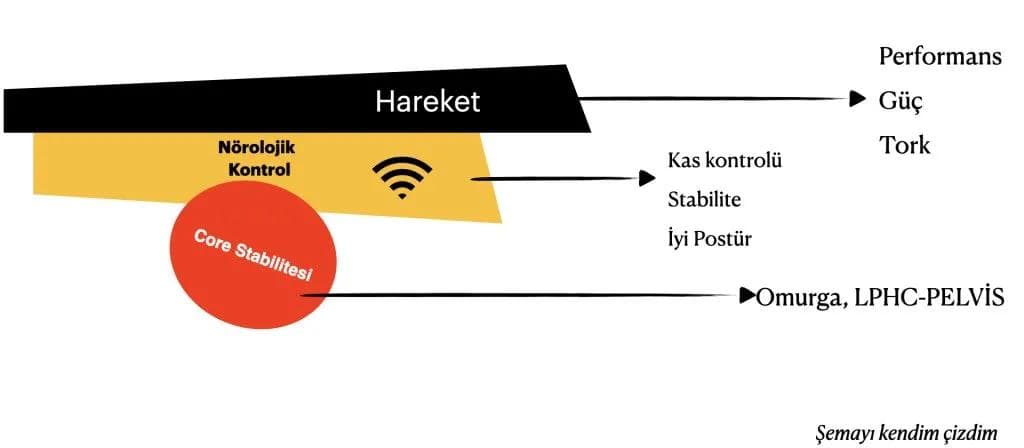 Core Stabilitesi, Core Kuvveti ve Kinetik Zincir Arasındaki Fark