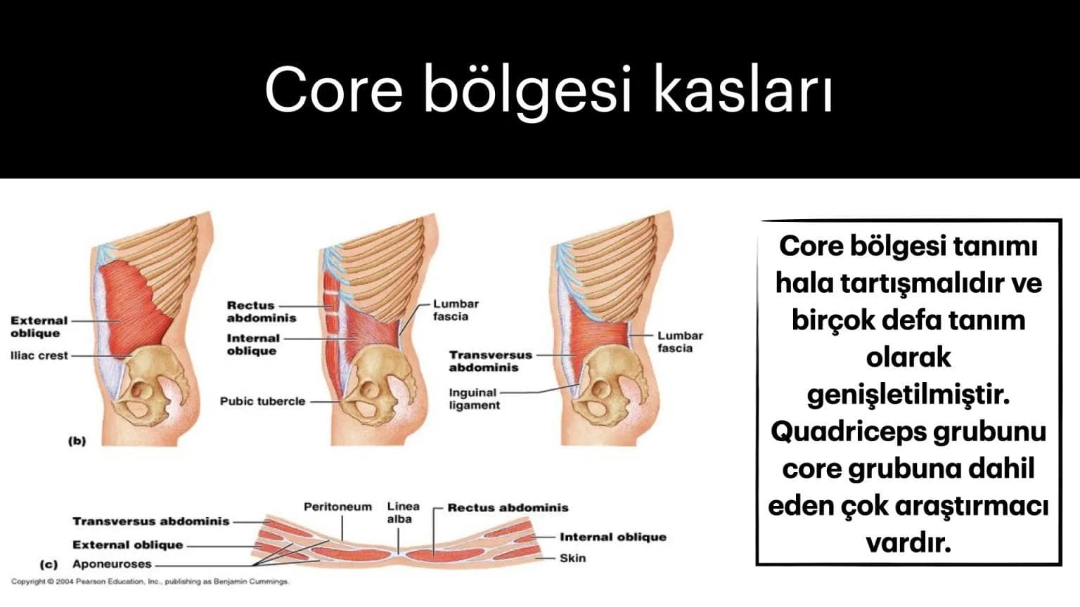 Core Nedir? Core Bölgesi Kasları ve Anatomisi